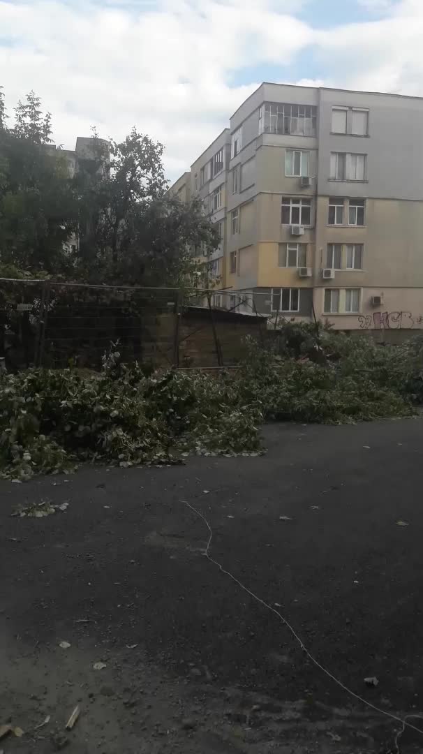Отрязани дървета