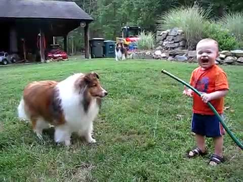 Това видео може да ви повдигне настроението!