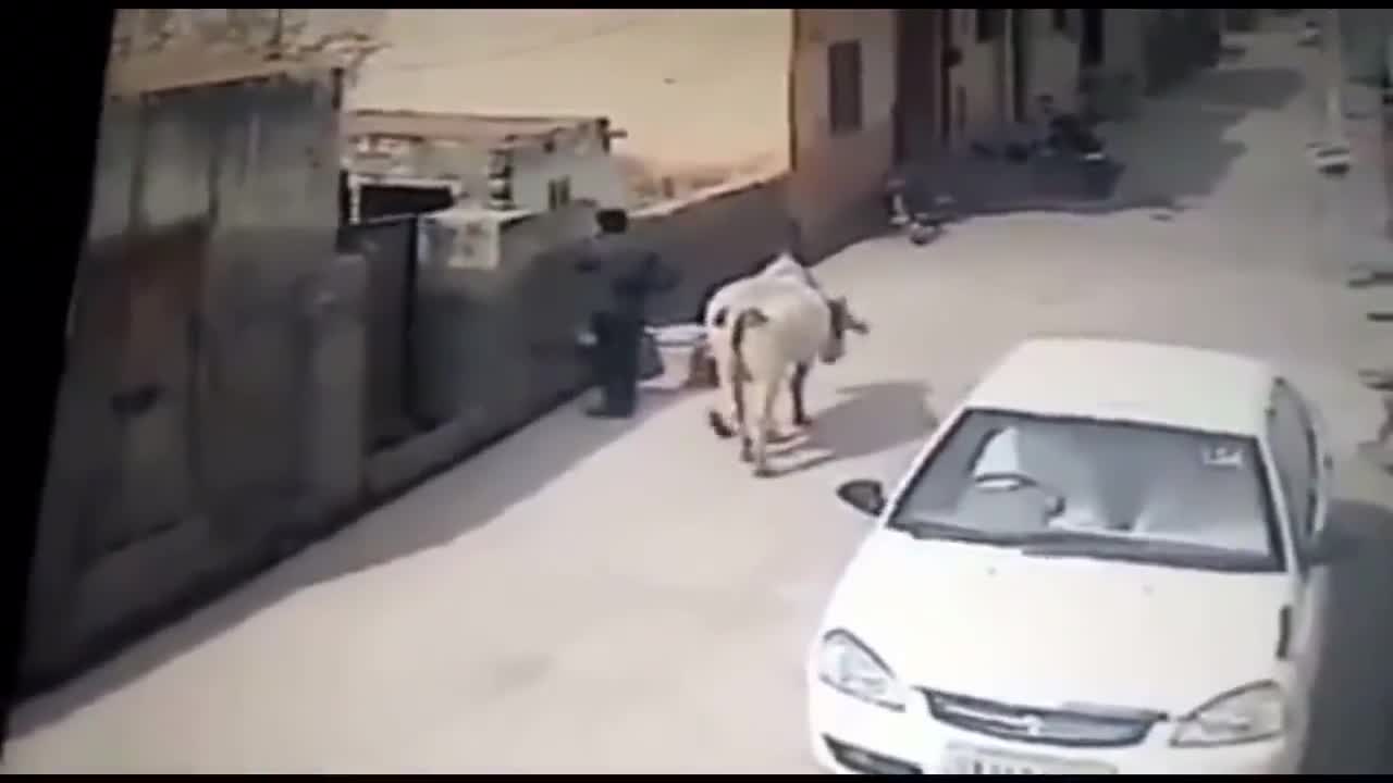 Вижте какво му се случи на този..