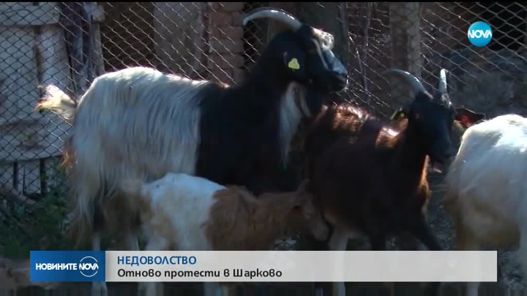 Животновъди от Странджа излизат на протест