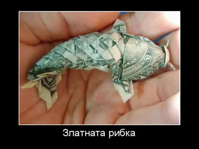 Най-откачените снимки събрани от Нета ; ) - Част втора