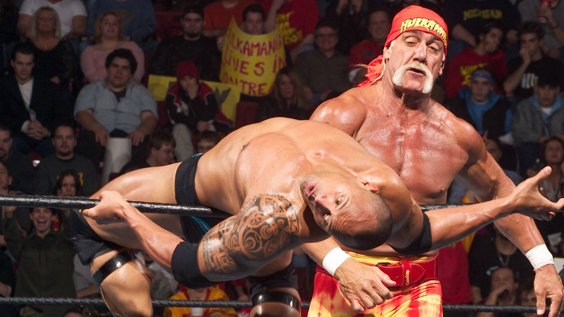 Скалата срещу Хълк Хоган: WWE 2003