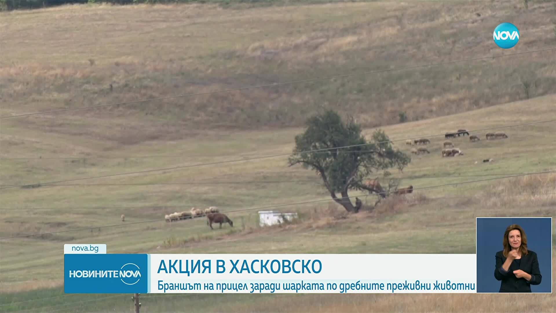 Новините на NOVA (29.08.2025 - лятна късна емисия)