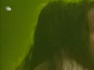 Alanis Morissette - Forgiven (live)