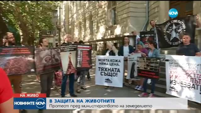 Новините на NOVA (24.08.2017 - обедна емисия)