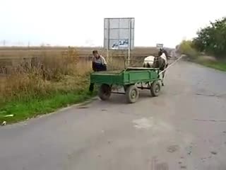 С М Я Х !!! Полицай Арестува Пиян Ром Със Каруца и Кон 