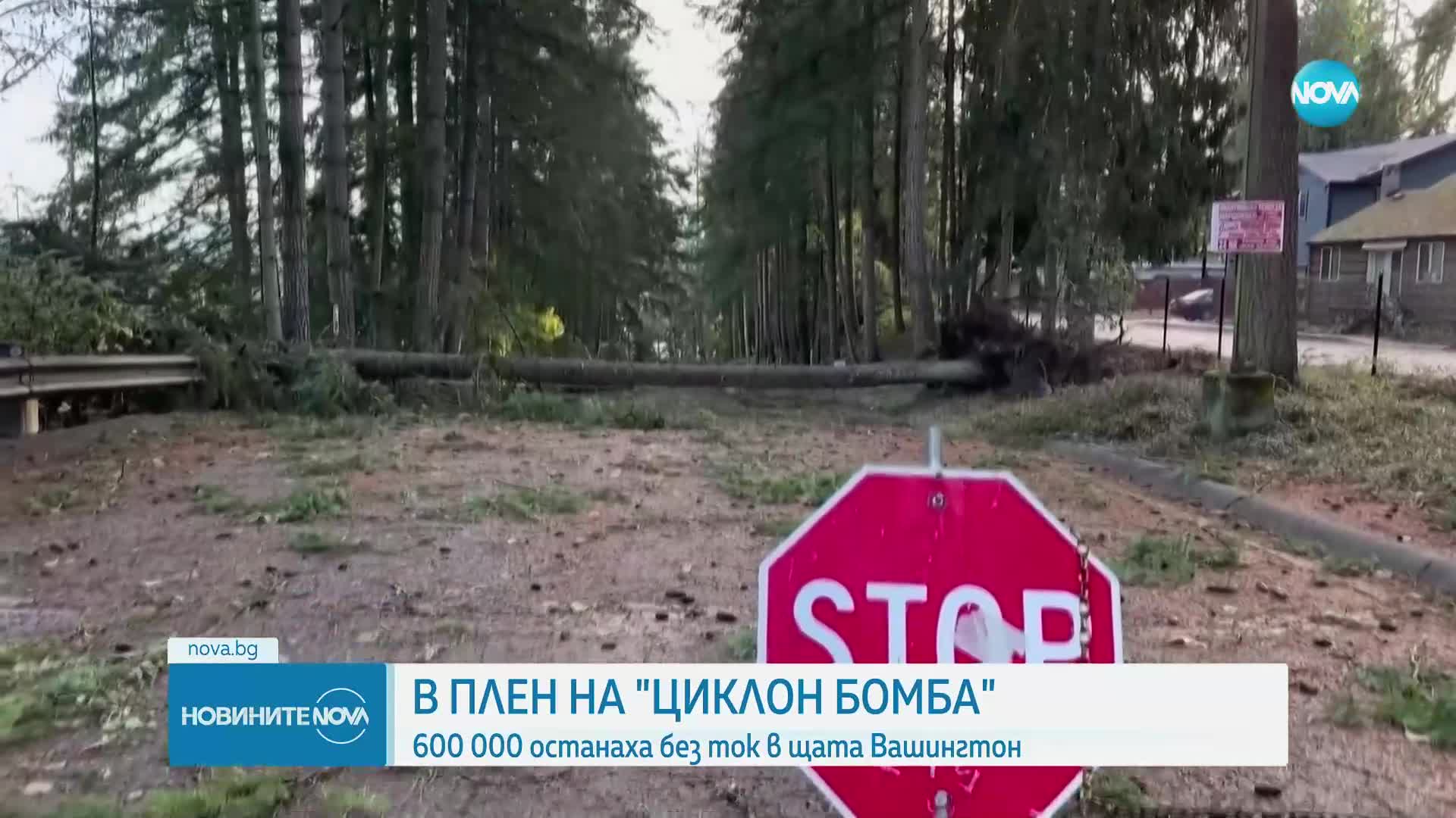 Новините на NOVA (21.11.2024 - 7.00)