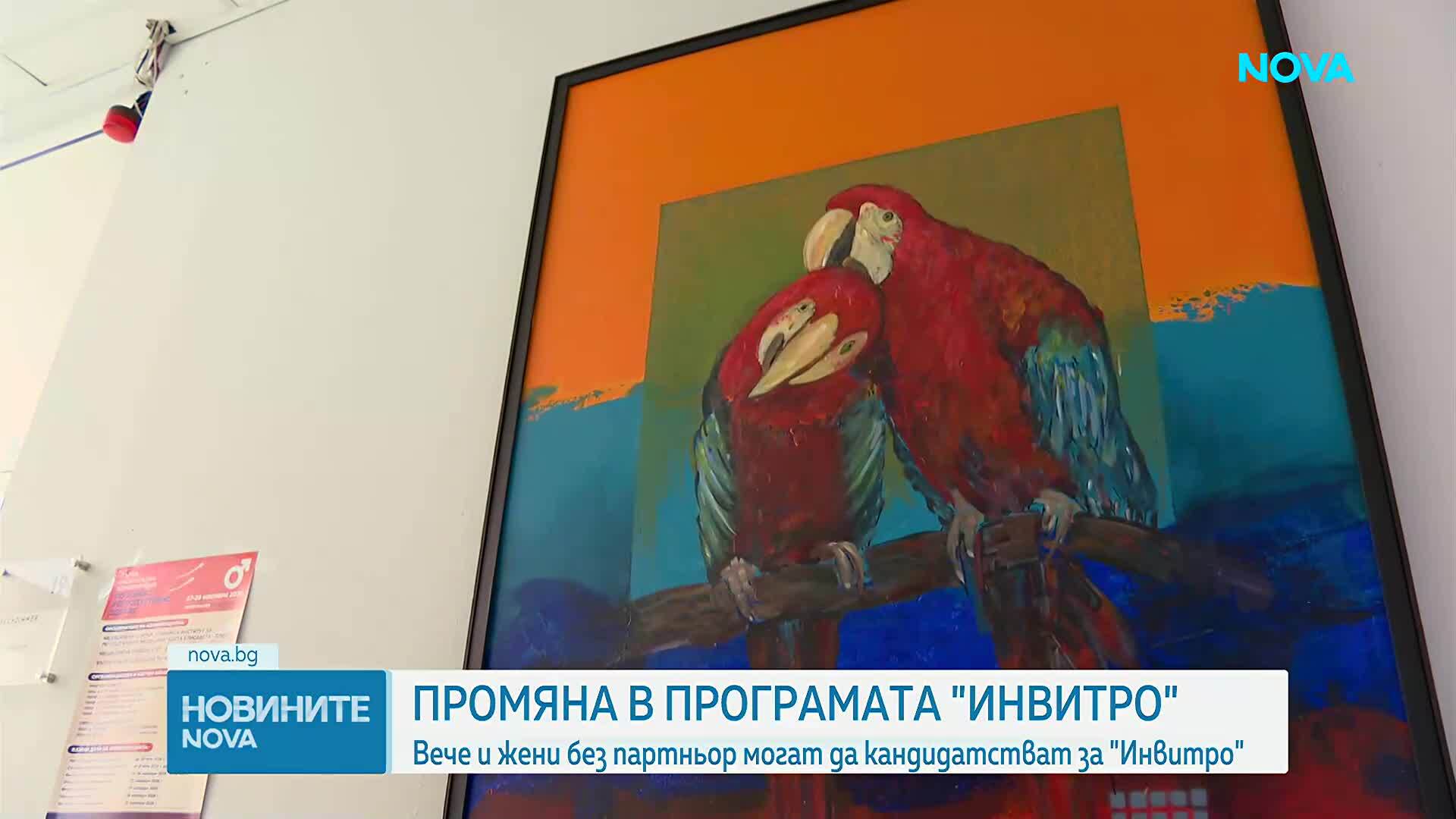 Жени без партньор могат да кандидатстват за инвитро оплождане