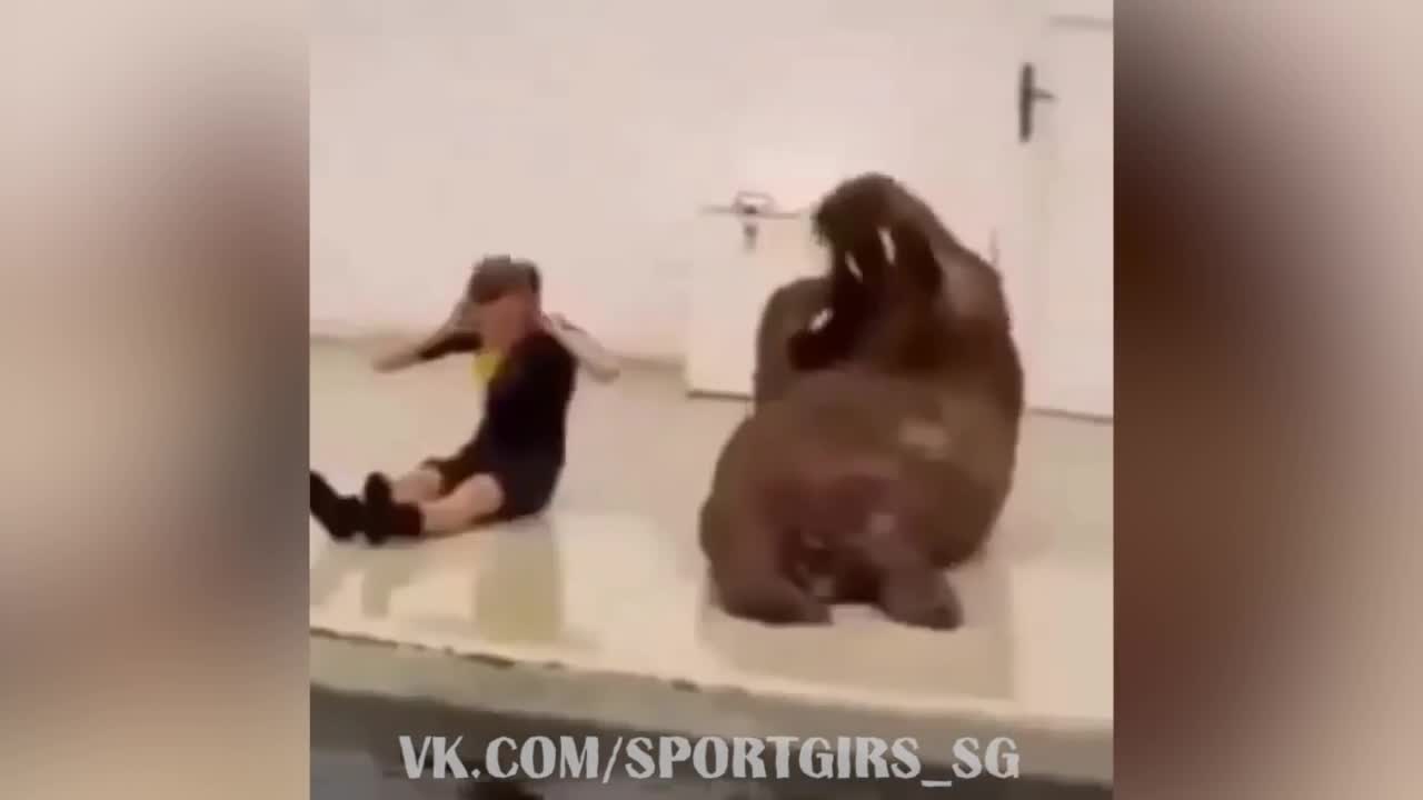 Смях в спортната зала .