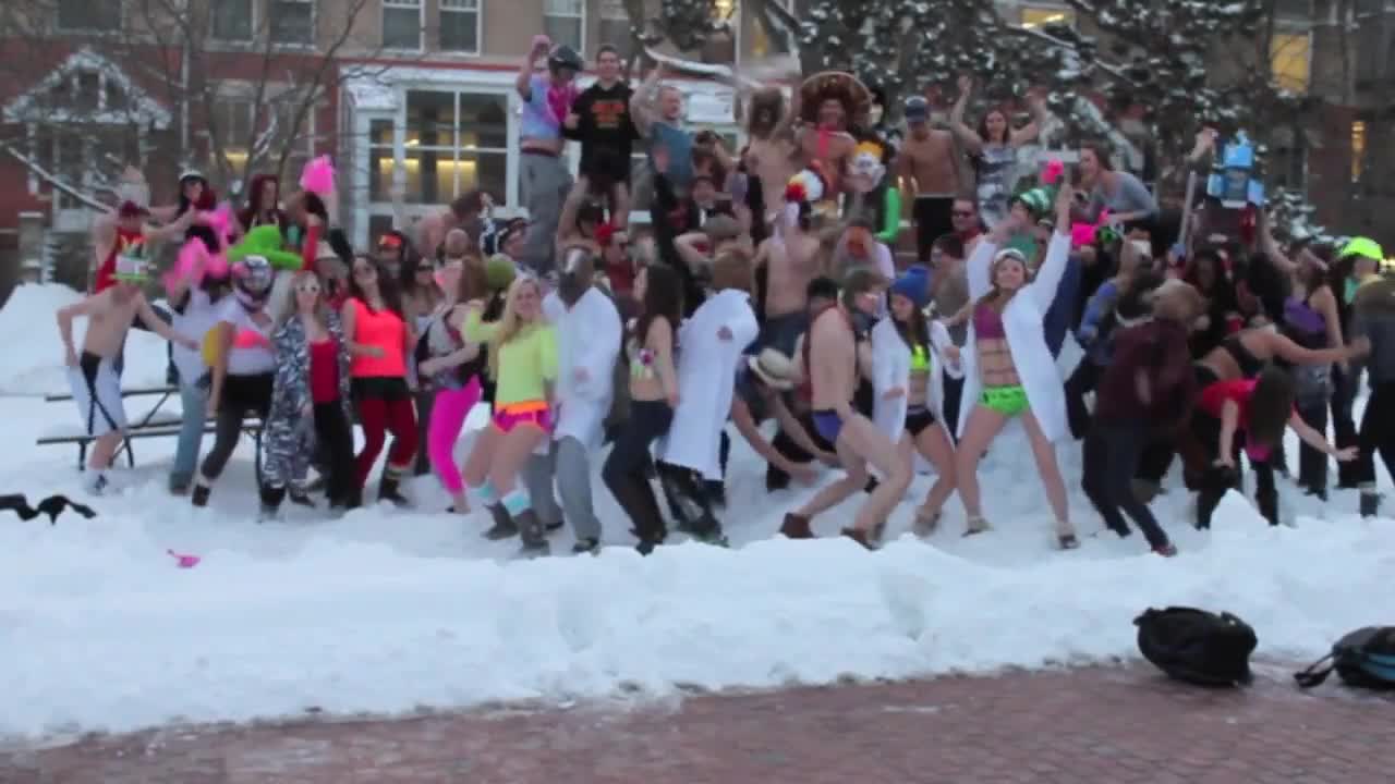 Harlem Shake - Университета на Гуелф - Harlem Shake
