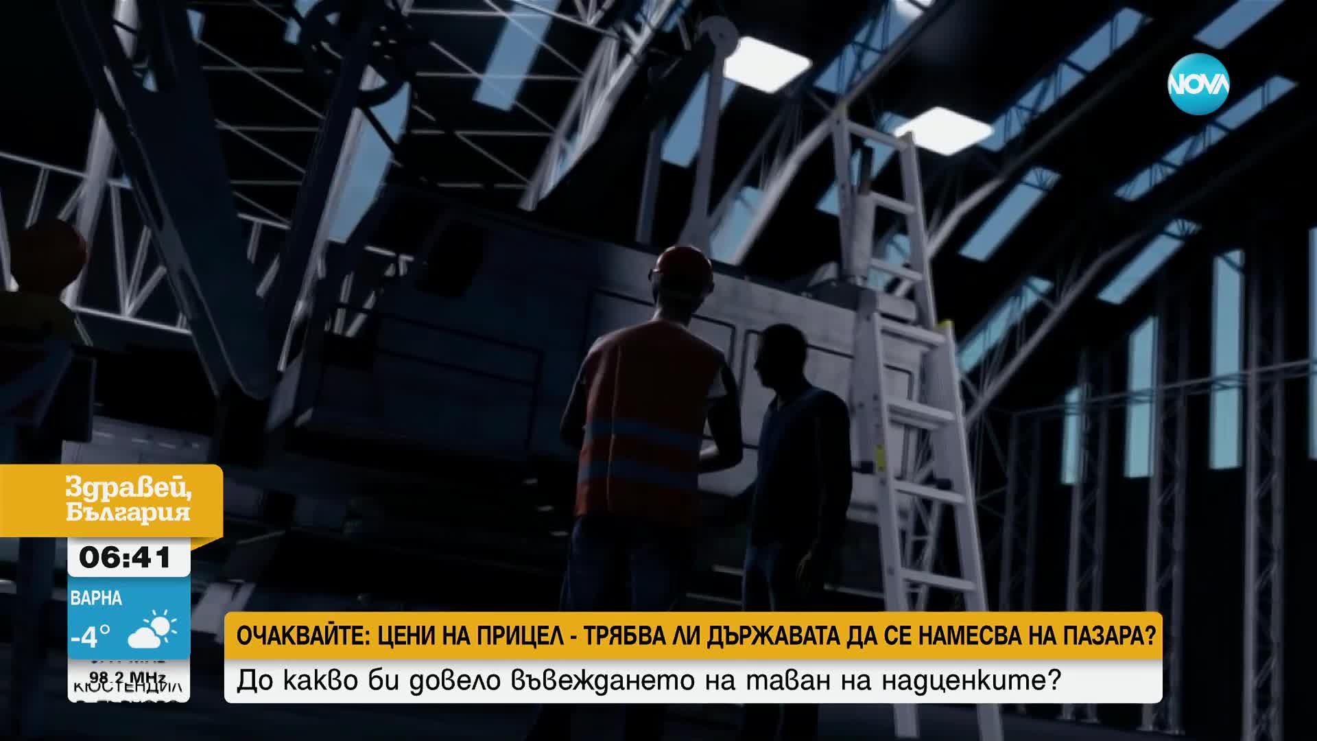Министър обвини маймуна за спирането на тока в цяла Шри Ланка