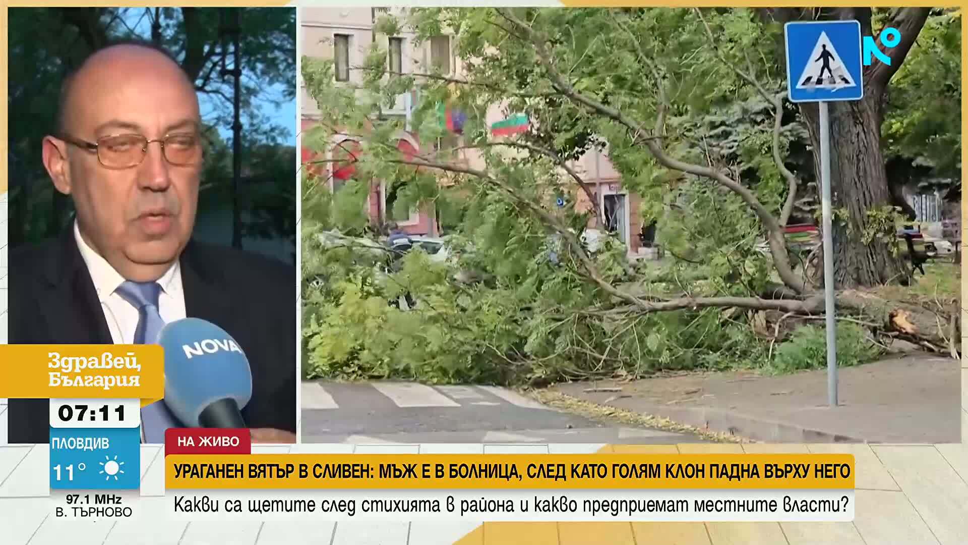 Тежко остава състоянието на пострадалия от паднал клон в Сливен