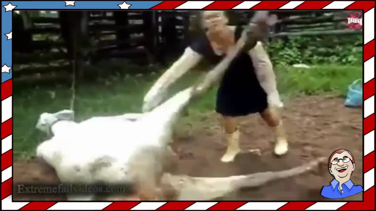 Когато животните атакуват ..