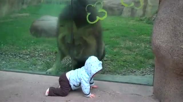 Какво според вас иска Лъвът!?