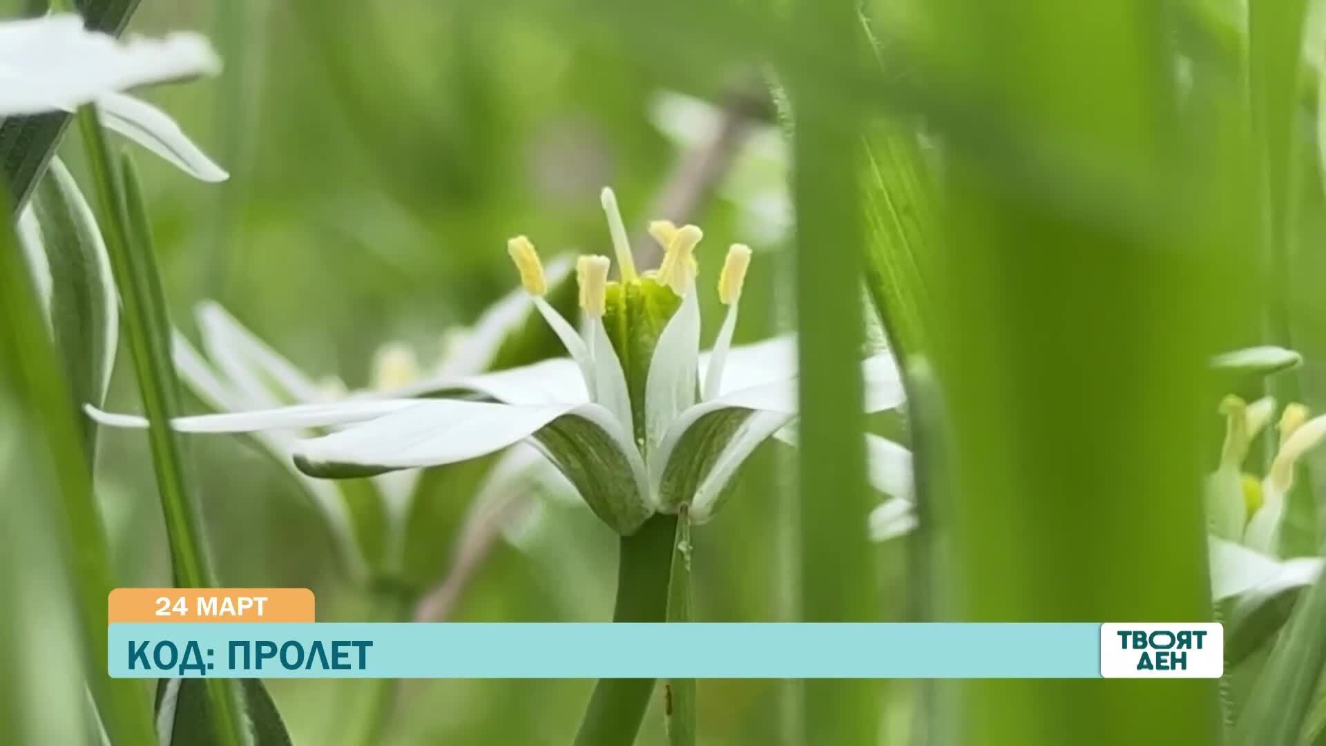 В „Твоят ден” на 24 март ще видите