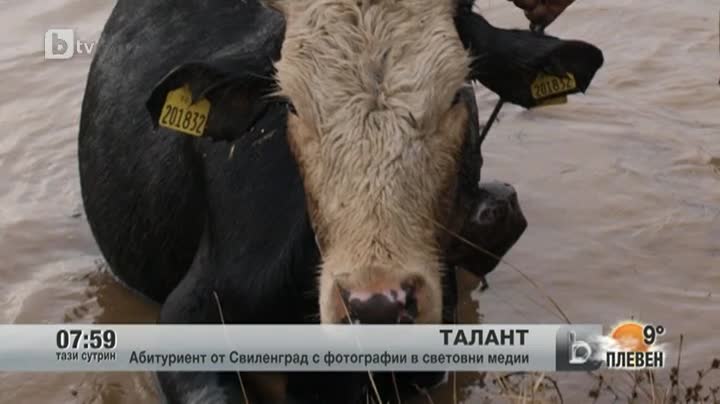 Абитуриент от Свиленград с фотографии в световни медии