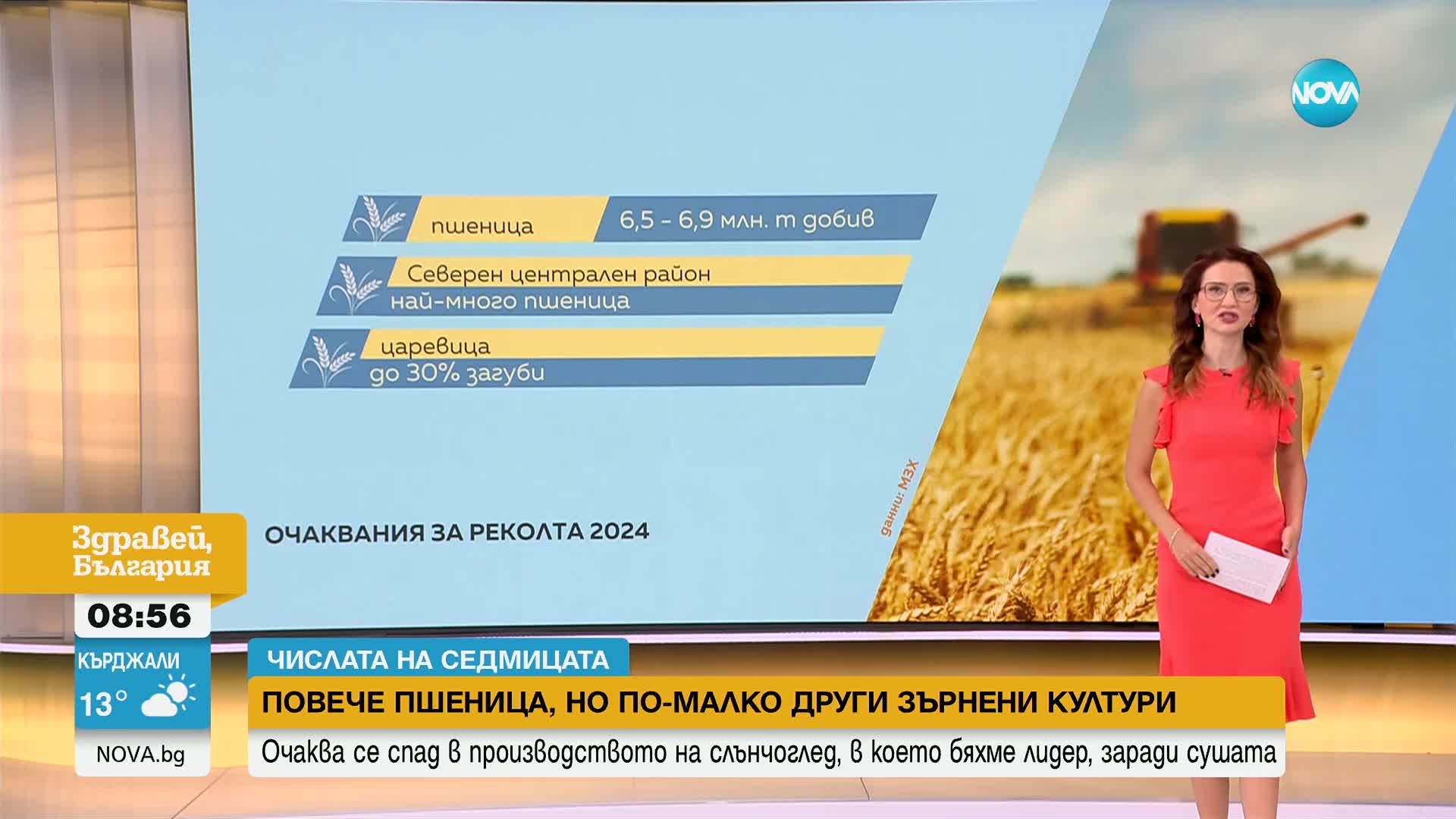 „Числата на седмицата”: Добиваме повече пшеница, но по-малко други зърнени култури