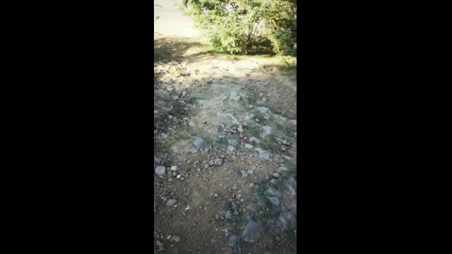Автобусна спирка "Манастирски ливади"