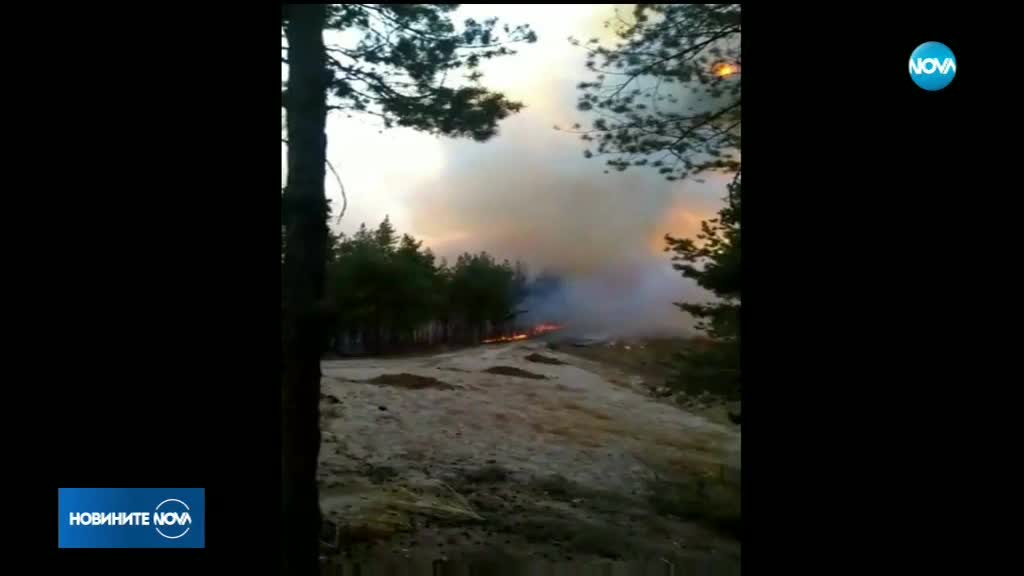 Пожарът в Родопите е овладян