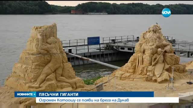 Огромен Котоошу се появи на брега на Дунав