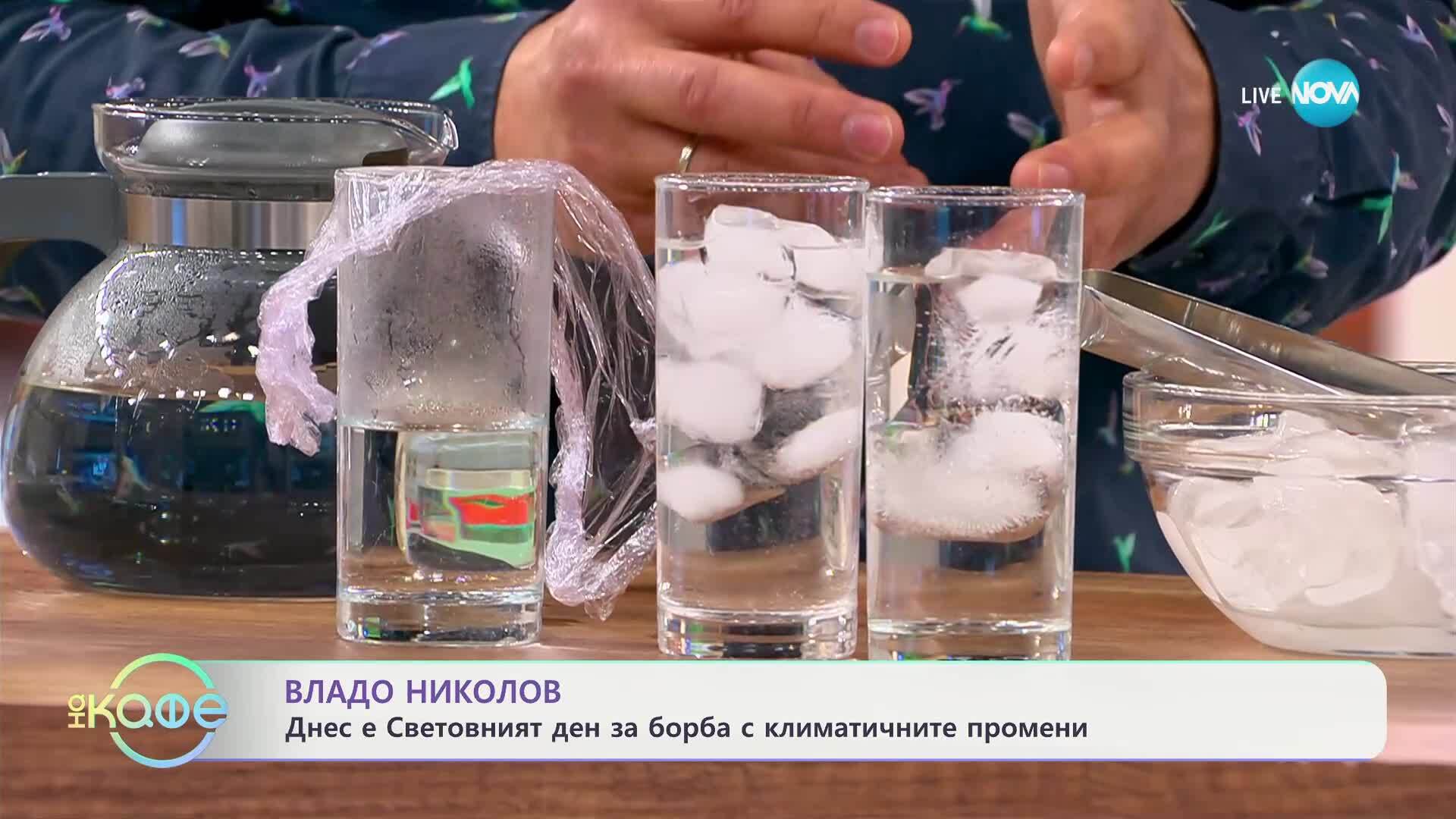 Владо Николов: Днес е Световният ден за борба с климатичните промени - „На кафе“ (15.05.2025)