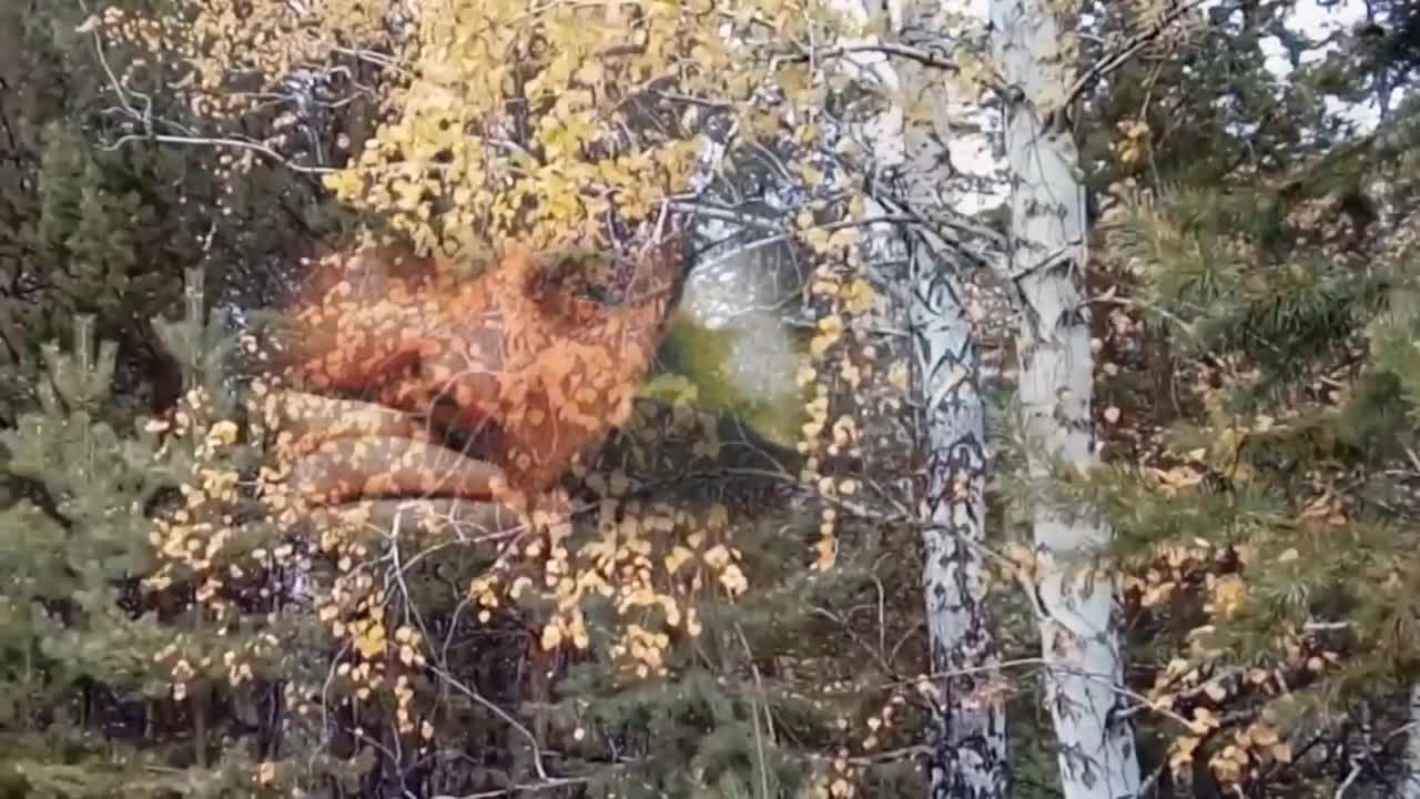 брюнетки фото из жизни онлайн брюнетки фото из жизни