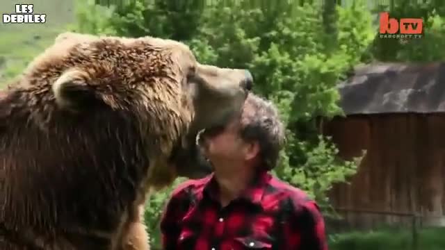 >Мечка гризли за домашен любимец ..