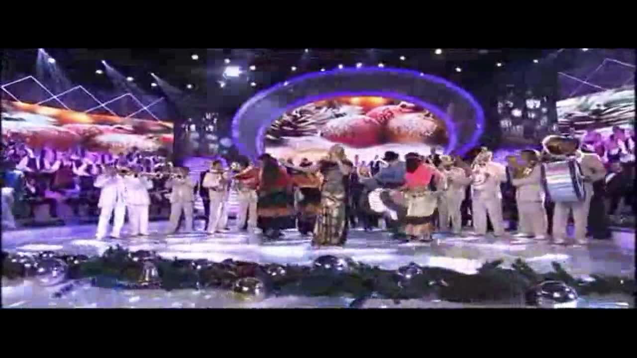 Vesna Zmijanac - Ti u meraku a ja u bedaku - Novogodisno veselije Granda - 2014 - Prevod