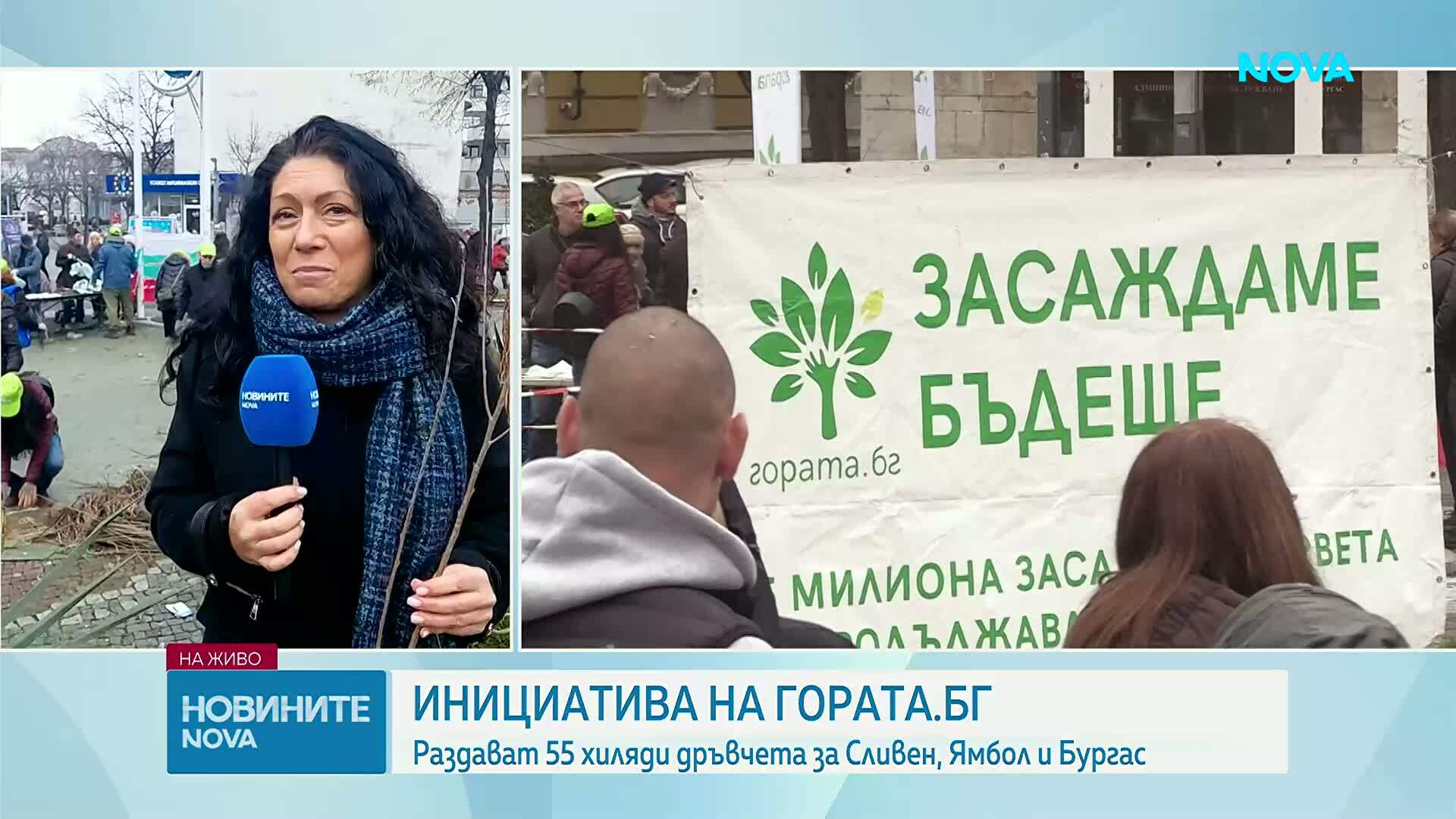 Инициативата „Гората.бг” раздава 55 000 дръвчета в Бургас, Сливен и Ямбол