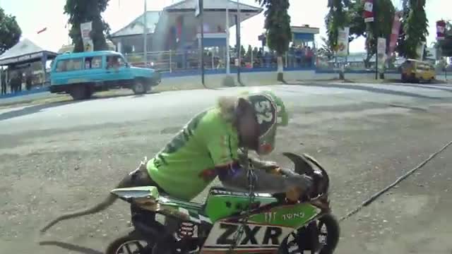 Маймунка кара мотор