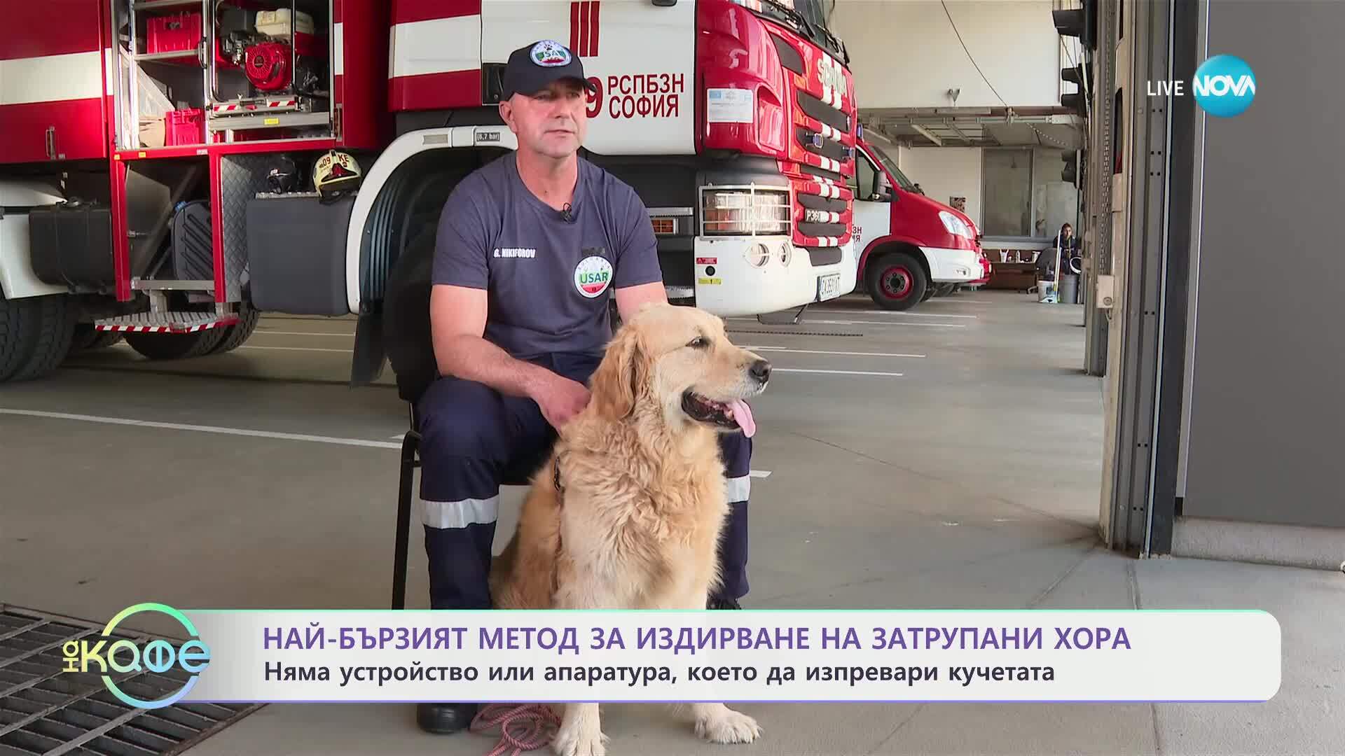 Пожарникарски кучета: Кои са пожарникарите, които обучават четириногите си за спасителни мисии- „На кафе” (02.07.2025)