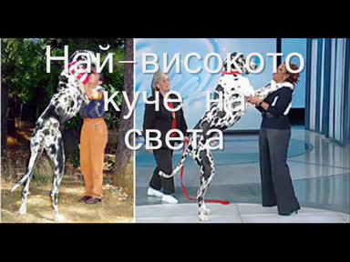 9 от най - големите животни в света
