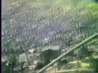 Woodstock - Архивни Кадри