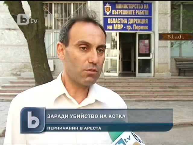 Арестуваха мъж, застрелял котарак в Перник, ядял гълъбите му
