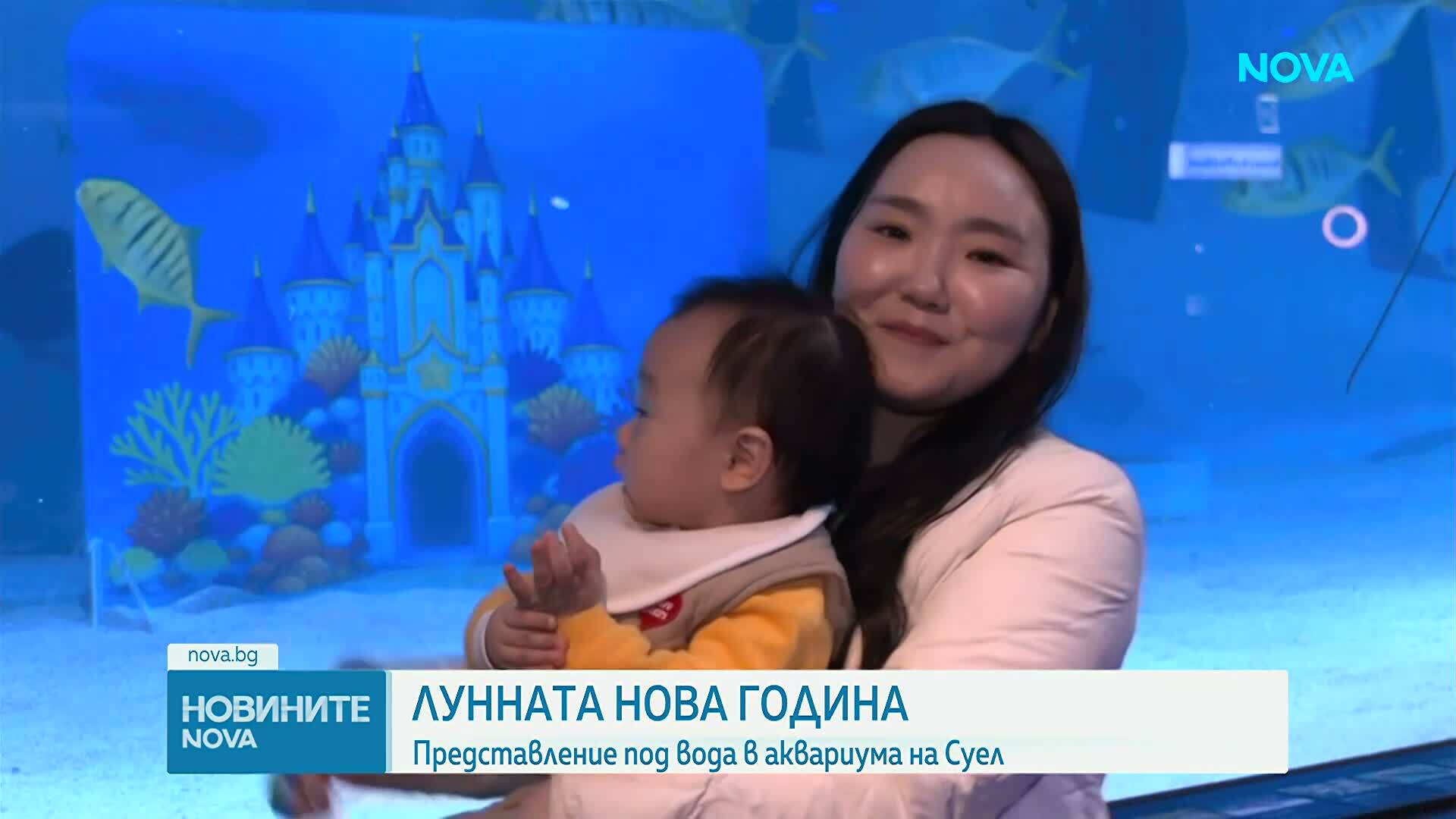 Водолази в традиционни носии с представление в аквариума в Сеул