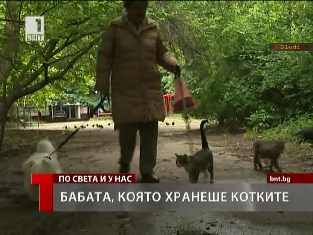 Бабата, която хранеше котките