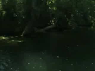 Царево