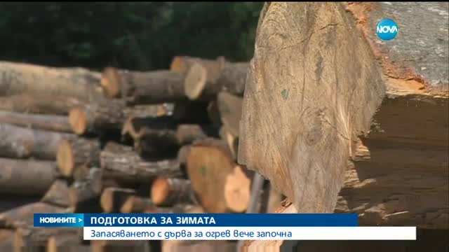 Запасяването с дърва за огрев вече започна