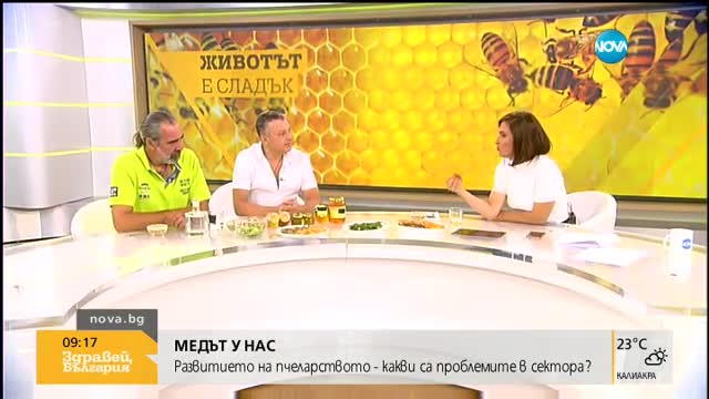 СЛАДКО ИЗКУШЕНИЕ: Как да разпознаем качествения пчелен мед?