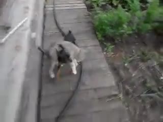 Хайде бързо в къщи:)