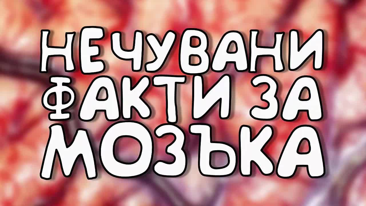 Нечувани факти за мозъка
