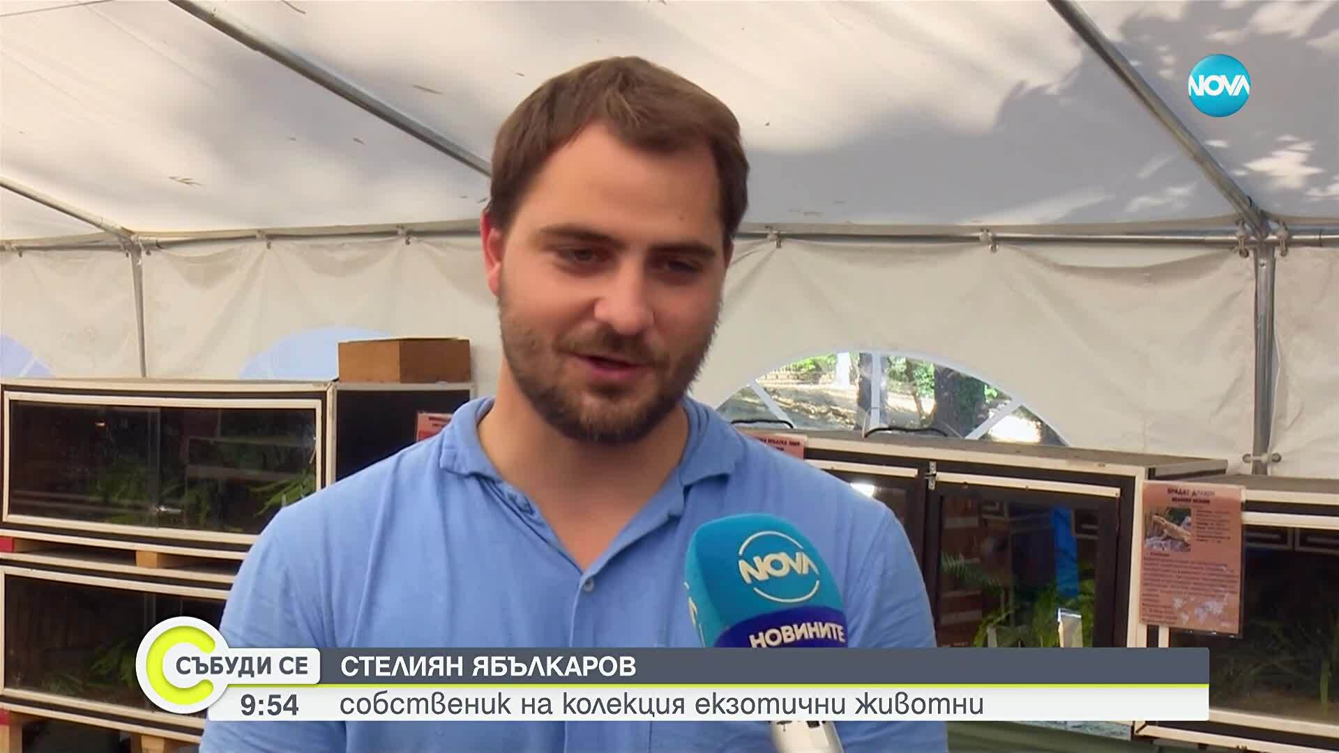 Пътуващ терариум с екзотични влечуги гостува във Варна