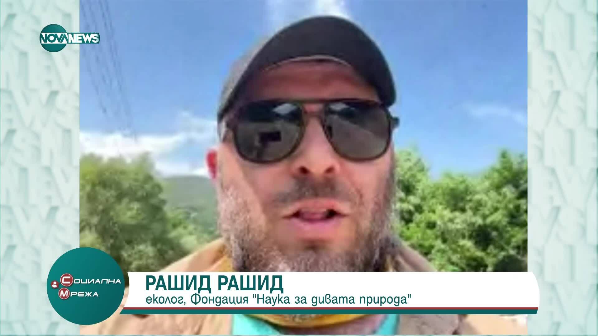Затвориха парк в Шумен заради рядък хищник (ВИДЕО)
