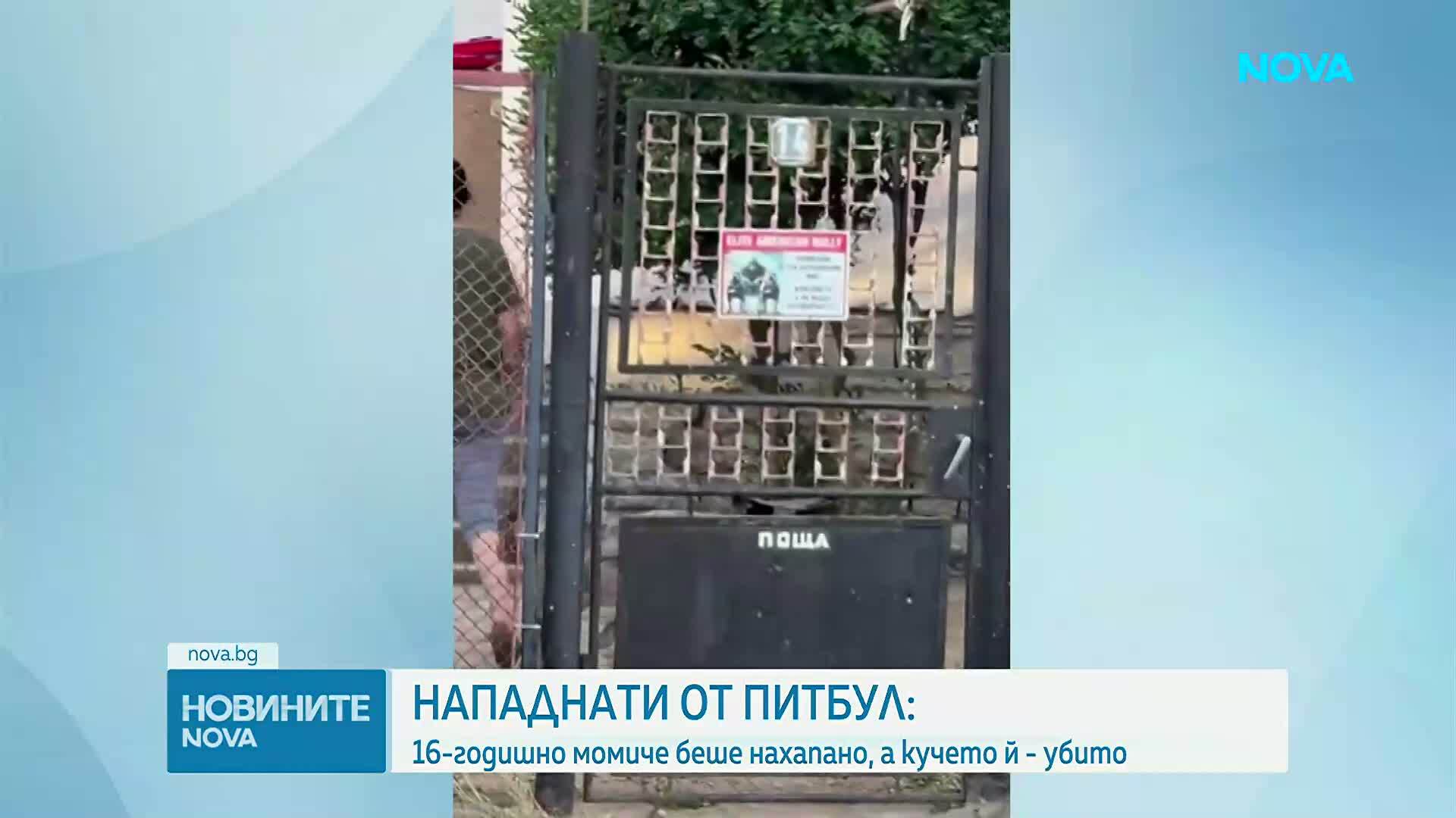 Куче нахапа 16-годишно момиче и уби домашния му любимец в Нови Искър