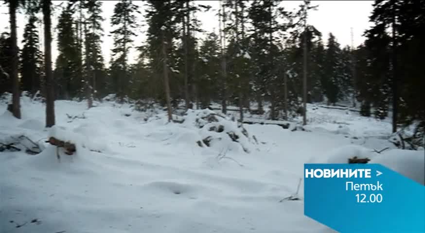 Новините на Нова – обедна емисия на 11 декември