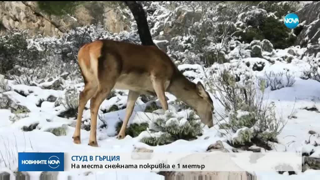 Снежна буря удари Гърция