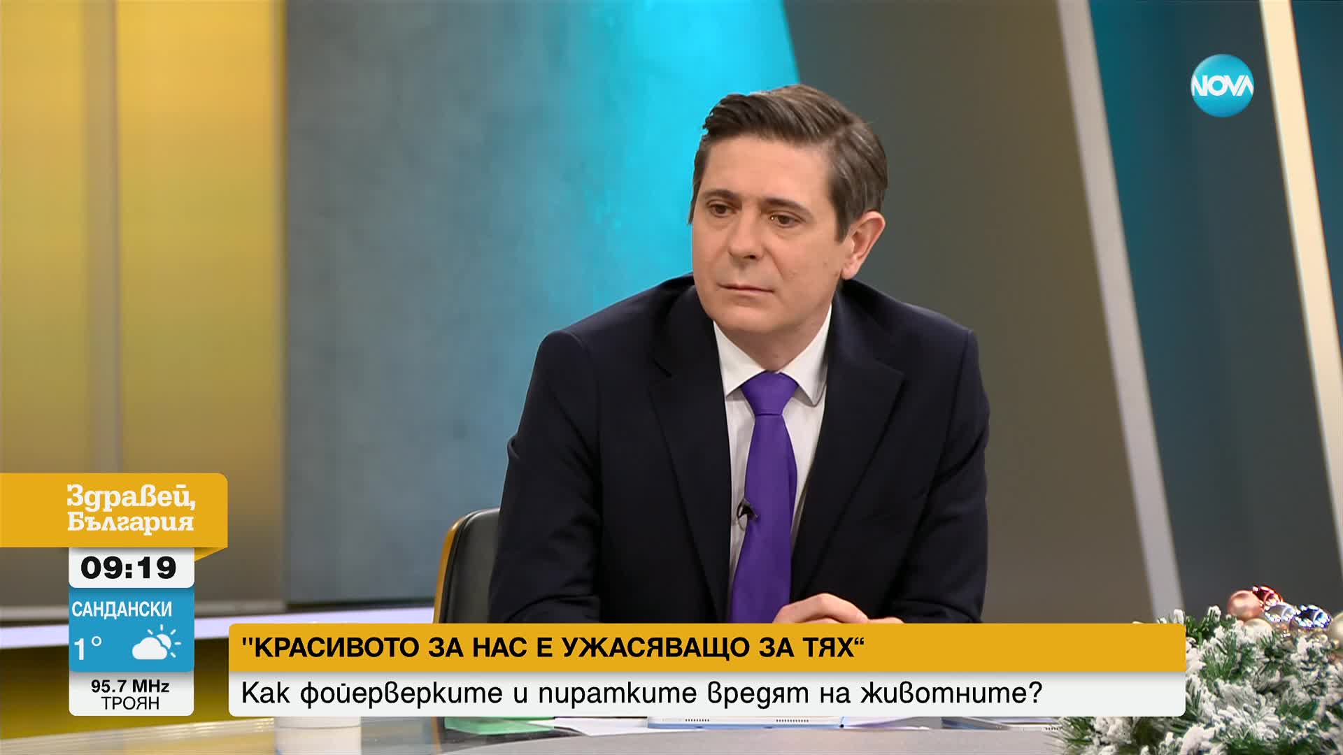 „Красивото за нас е ужасяващо за тях”: Как зарята вреди на животните