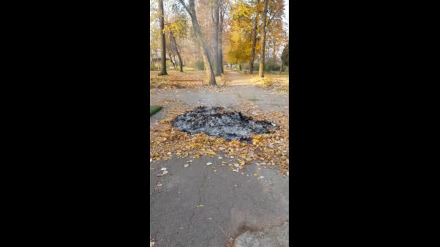 "Моята новина": Почистване на листа