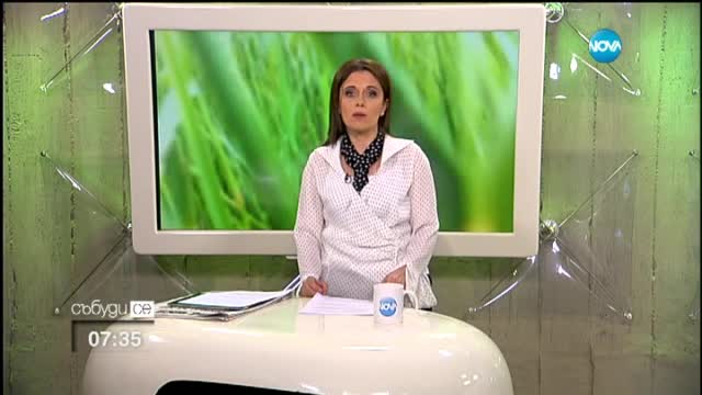 Годишнина от началото на протестите срещу Пеевски