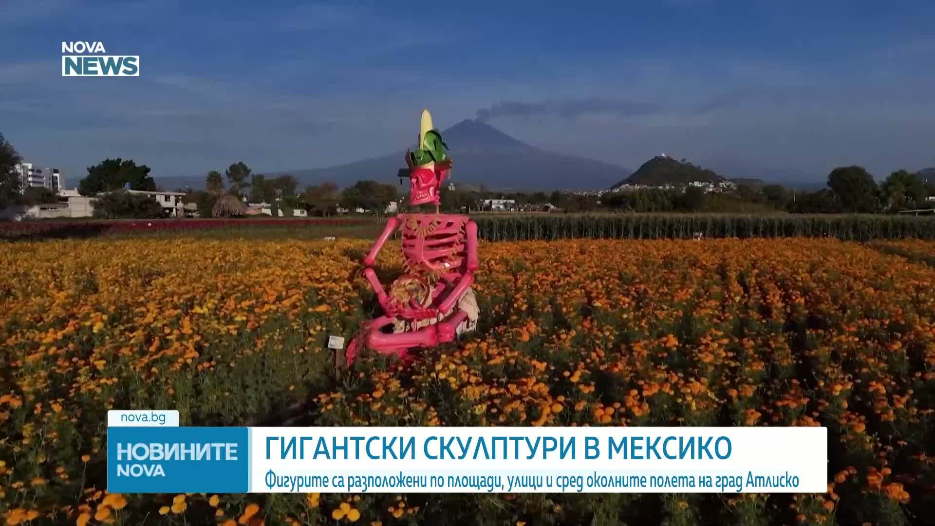 10-метрови гигантски скелети оживяха в Мексико за Деня на мъртвите